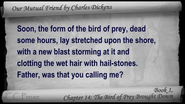 Book 1, Chapter 14 - Our Mutual Friend By Charles Dickens - The Bird Of Prey Brought Down