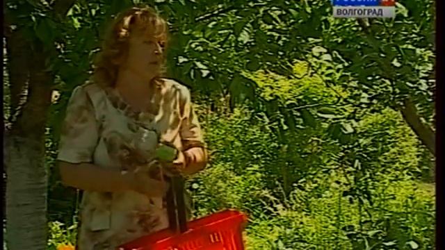 Как защитить сад от вредителей. Подкормка универсальным удобрением. Садовый вар. смотреть онлайн