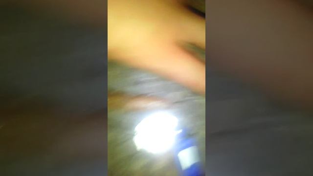 огромный слизень смотреть онлайн