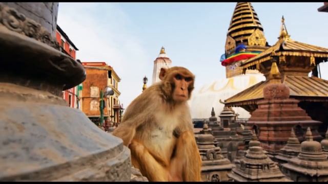 Peace Therapy Music Mix - Melodic Chill Out Psychill Entheogenic Downtempo Ethnic World смотреть онлайн