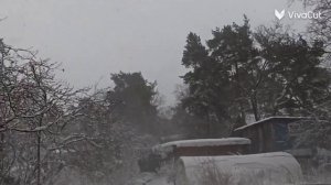 Сильный ветер и метель в Санкт-Петербурге 10.02.2023