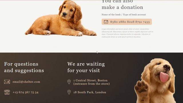 Shelter - fixed layout смотреть онлайн
