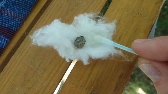 Дом и Приусадебное Хозяйство