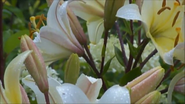 Евгений Штиль - Я жду тебя (2015) смотреть онлайн