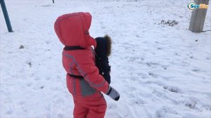 ✔ Беби Борн и Ярослава — зимняя прогулка на санях / Doll Baby Born with Yaroslava sleigh rides ✔