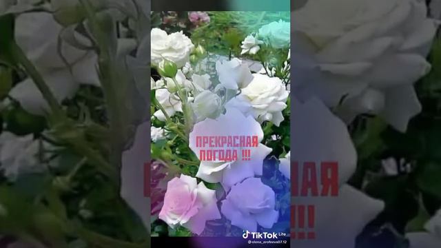 Аа5н 5 55 9 11а55555555 5 55 царапины 5555..11а51а15а15а5. чья ц смотреть онлайн