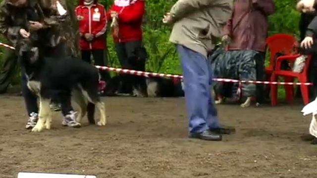 ЩК 1 смотреть онлайн