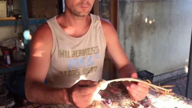 Чеснок озимый и яровой. Учимся различать смотреть онлайн