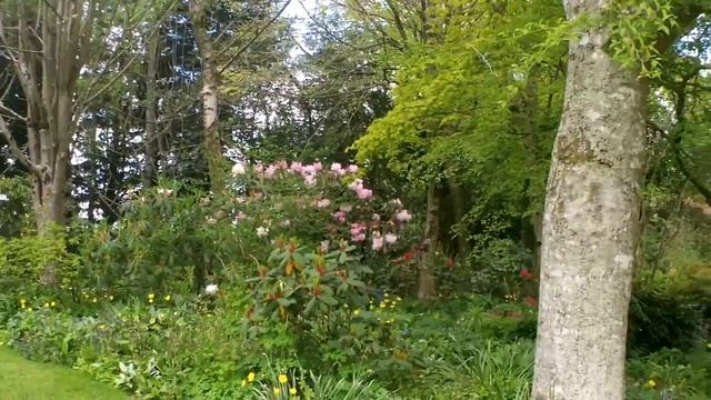 Gardens of Ireland - Altamont Gardens, Co. Carlow, Ireland. Spring 2015 смотреть онлайн