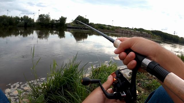 Ловим берша | Москва река | Коломенский парк смотреть онлайн