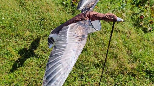 Махокрыл Гуменник смотреть онлайн