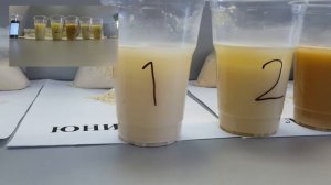 Как вырастить теленка / какой ЗЦМ лучше