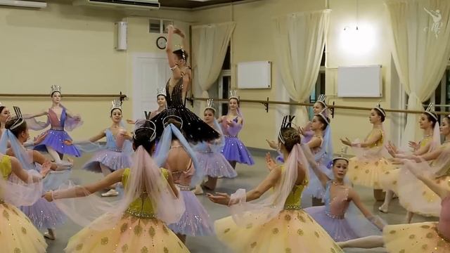 Dance Of The Hours From Ballet 