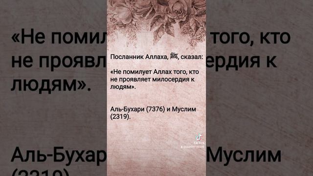 #ислам #хадис #иман #коран #сунна #субханаллах #islam #вера #благо #милость #покаяние #видео # смотреть онлайн