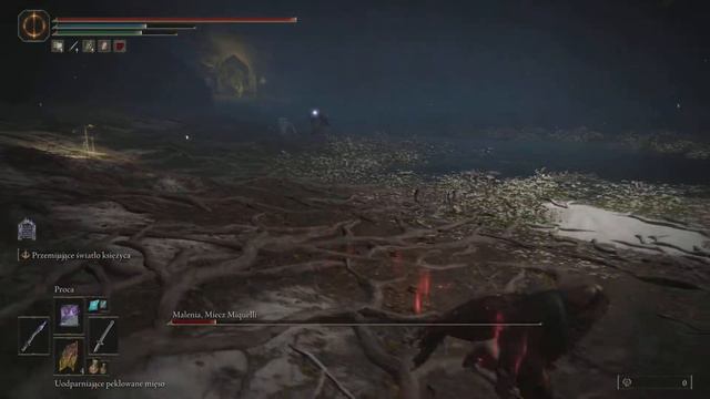 ELDEN RING How to kill Malenia - Chicken tactic by sorc смотреть онлайн