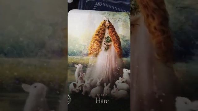 DECK WALK THROUGH-DIVINE ANIMALS ORACLE BY STACEY DEMARCO!!! смотреть онлайн