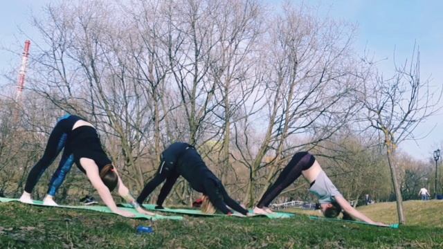 Виньясы смотреть онлайн