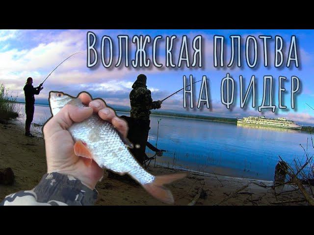 Весенняя плотва на Волге.Рыбалка на фидер.