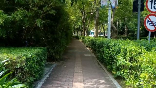 Пляж у отеля INTERCONTINENTAL Санья, Хайнань смотреть онлайн