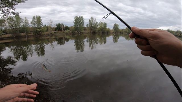 Pêche en UL : Perches au skeleton de chez Delalande ? смотреть онлайн