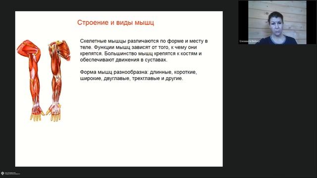 Онлайн-школа СПбГУ 2022/2023. 9 класс. Биология. 03.12.2022 смотреть онлайн