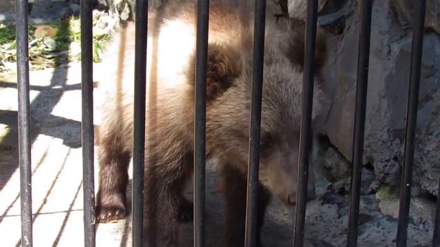 Мое измененное видео Алтай 06.08.16 смотреть онлайн