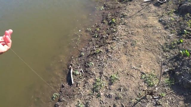 Рыбалка Астрахань ВОБЛА Рыбачим в ерике, в котором полно разной рыбы!! Рыбалка с Серегой SVS. смотреть онлайн