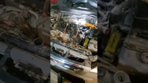 ЗАМЕНА ВЕРХНЕГО ТЕРМОСТАТА НИССАН Х ТРЕЙЛ