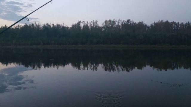 Щука на вертушку №4 от "AzorFishing"|Активный клёв на реке Уфа смотреть онлайн