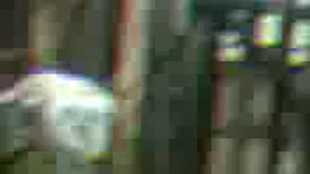 Игривый мопс смотреть онлайн