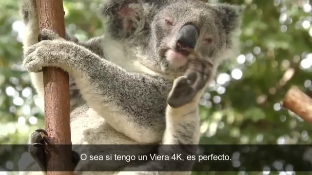 No dejes de salir en los videos que grabas! - Twin Camera Panasonic смотреть онлайн