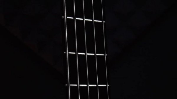 Ibanez SRMS625EX IronLabel | Linus Klausenitzer