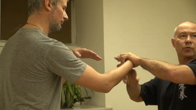 ИЦЮАНЬ. СЕМИНАР В САНКТ-ПЕТЕРБУРГЕ (февр. 2016) смотреть онлайн