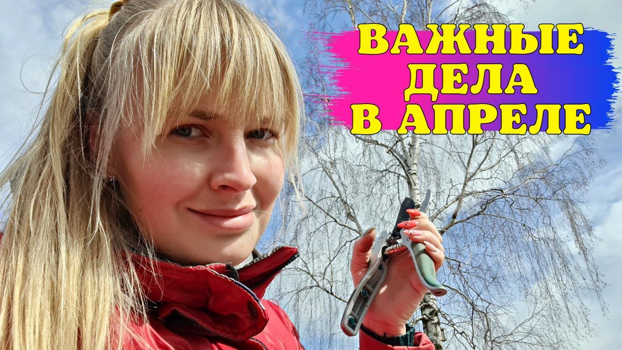 РОЗЫ В АПРЕЛЕ! С чем стоит ПОТОРОПИТЬСЯ, а с чем ЛУЧШЕ НЕ СПЕШИТЬ смотреть онлайн