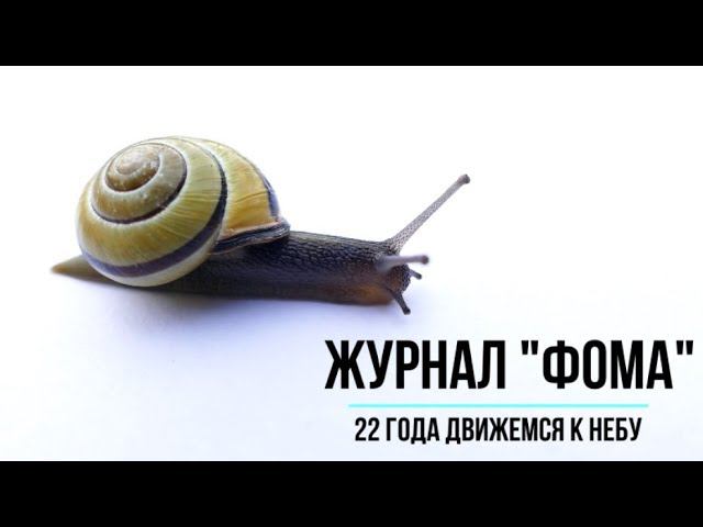 "Фоме" — 22 года! смотреть онлайн