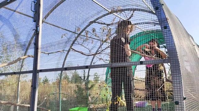 Не ловите дроздов, а то они на вас...