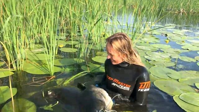 Catfish Spearfishing. Подводная охота. Сом. смотреть онлайн