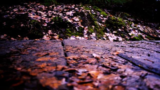 парк "Монрепо" смотреть онлайн