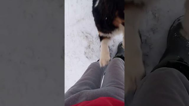 15 января 2021 г. после разлуки в 18 дней! ждём пополнения в семье!😋😋😋