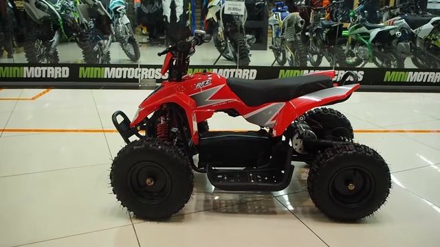 Электро-мотовездеход квадроцикл Apollo RFZ E-KITTY 1000W Красный смотреть онлайн