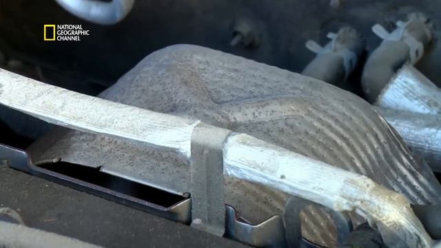 .Laser! смотреть онлайн