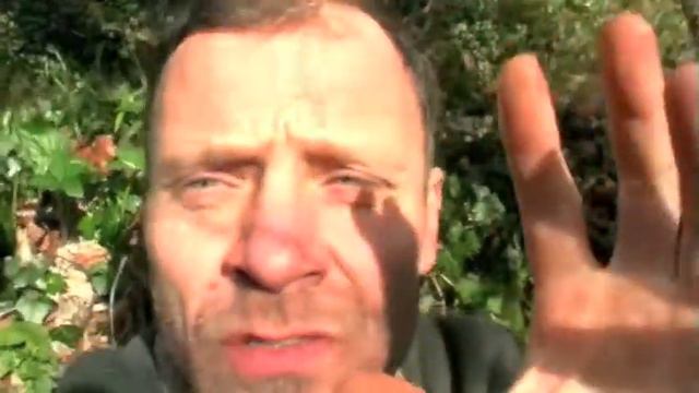 The Seven Schools Of Capoeira; Intro смотреть онлайн