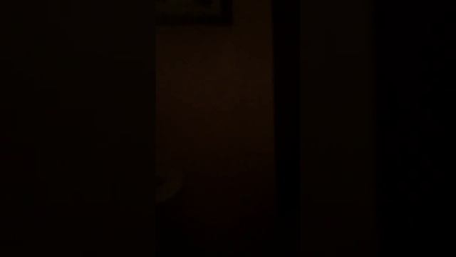 Нежданчик!!!! или как отучить жрать по ночам))))))) смотреть онлайн