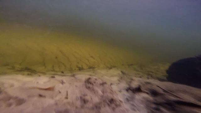 Про Рыбалку. Underwater. FishUp Flit 2". смотреть онлайн