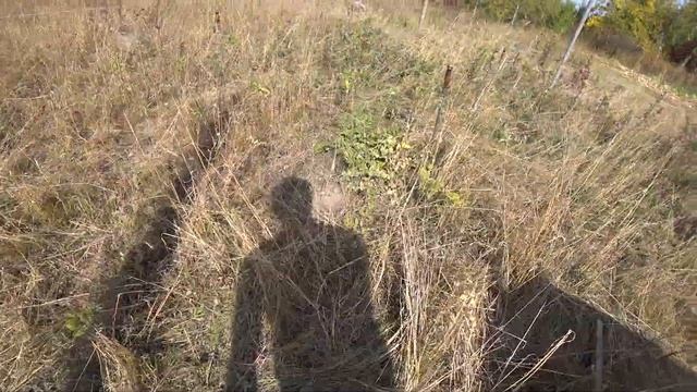 ВОЛЬЕР + САРАЙ ДЛЯ ГУСЕЙ СВОИМИ РУКАМИ! смотреть онлайн