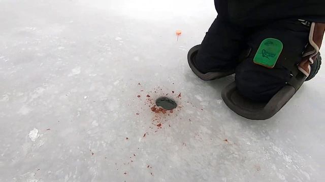 На мормышку со льда ❘ Сбор урожая смотреть онлайн