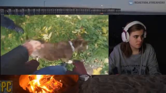 Лиззка смотрит: Как Меня Покусала СОБАКА / Моя Жизнь смотреть онлайн