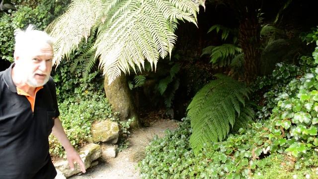 Англия. Корнуолл сад Треба.