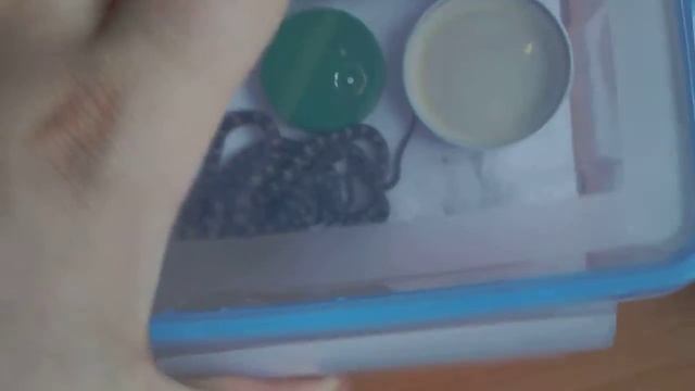 24 маисовых полоза смотреть онлайн