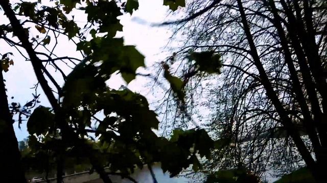 VID_1653616511341 Любви начало было летом...1908 (Н. Клюев)...Павел Васильев Лахтинский смотреть онлайн